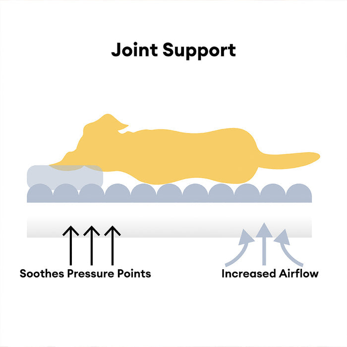 Washable Huggy-Cuddle Spine-Relief Orthopedic Dog Sofa