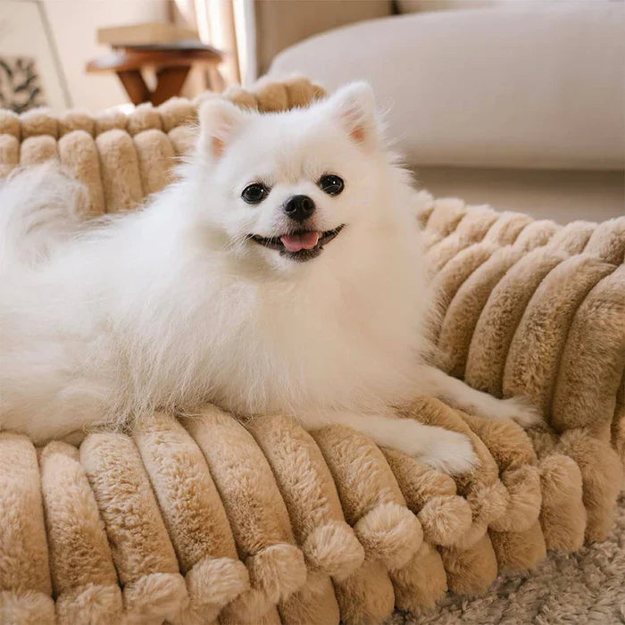 Washable Huggy-Cuddle Spine-Relief Orthopedic Dog Sofa