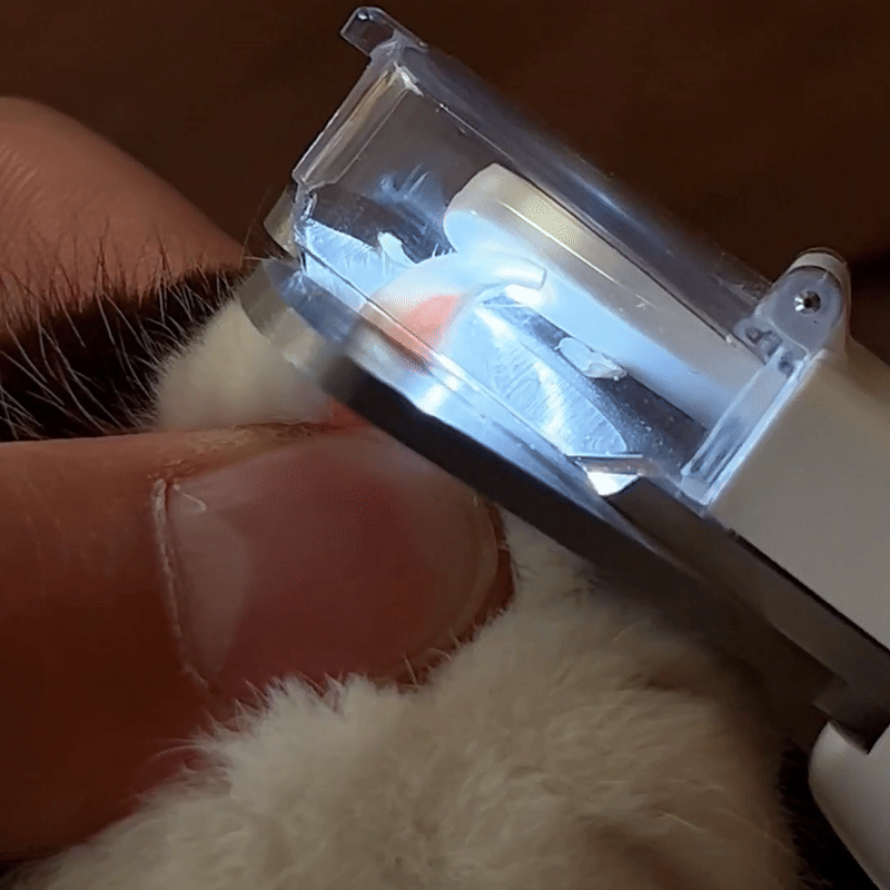 PawCare Multi-Function Pet Nail Trimmer