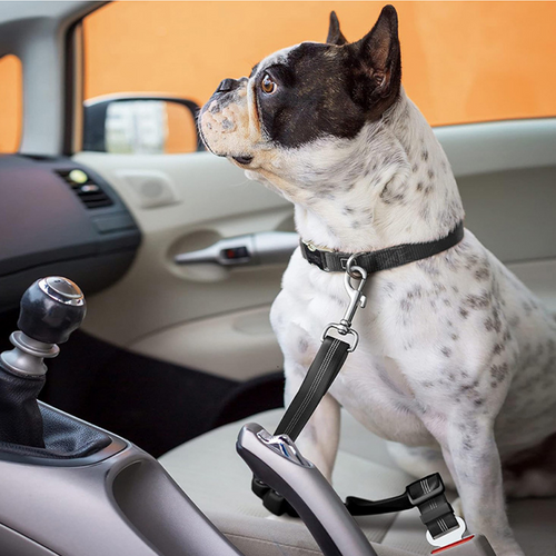 AegisPaws · Elastic Bungee Pet Car Safety Belt