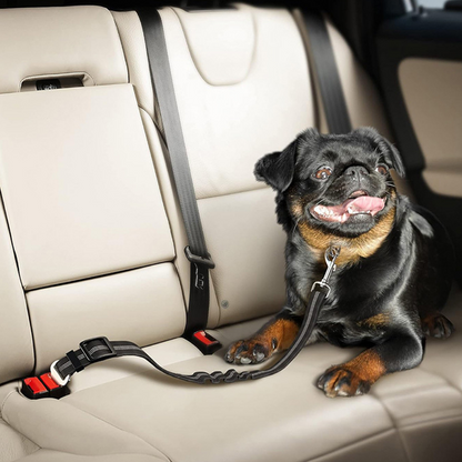 AegisPaws · Elastic Bungee Pet Car Safety Belt