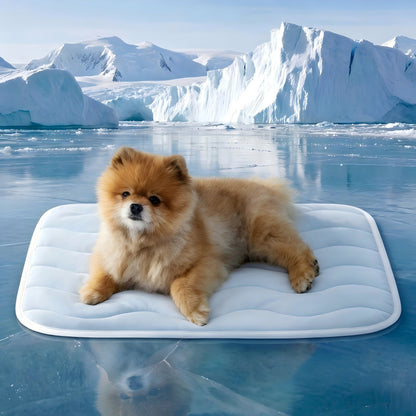 FrostChill™ Washable Pet Cooling Mat – Self-Cooling Comfort Pad for Dogs & Cats