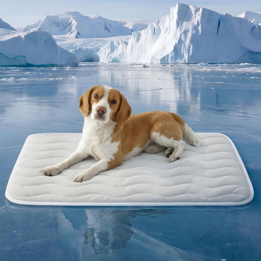 FrostChill™ Washable Pet Cooling Mat – Self-Cooling Comfort Pad for Dogs & Cats