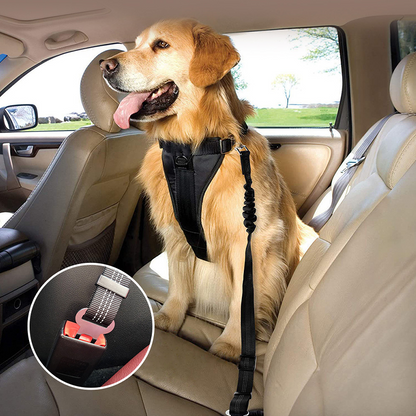 AegisPaws · Elastic Bungee Pet Car Safety Belt