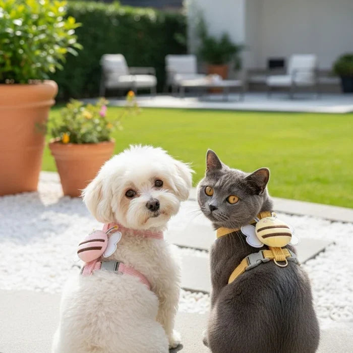 BuzzPaw™ Adjustable Pet Harness Set for Cats, Rabbits & Small Dogs