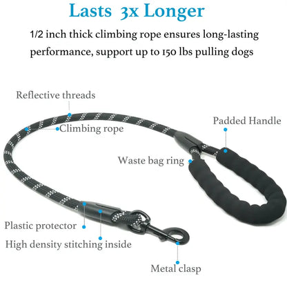 RoverPace · Dual-Dog Shock Absorbing Bungee Leash
