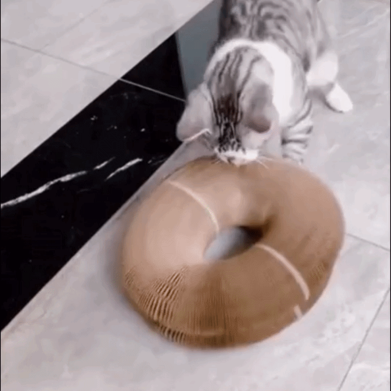 MagicOrgan™ Deformable Magnetic Cat Scratching Board with Toy Ball