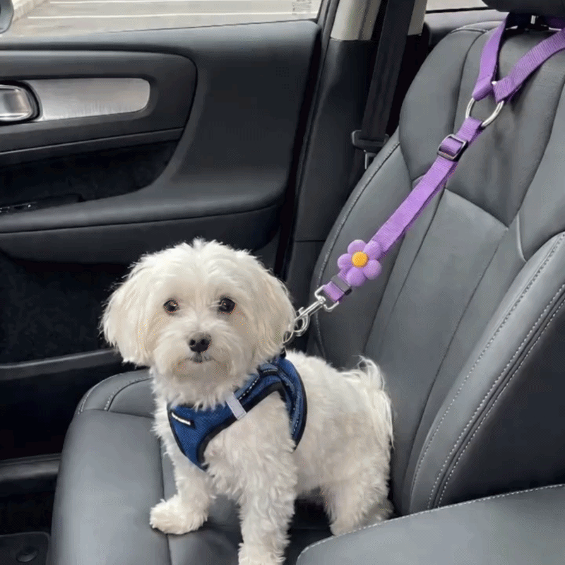 SafeTrave Adjustable Headrest Pet Car Seat Belt for Dogs and Cats