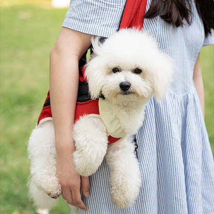 Comfort Pet Backpack Carrier for Outdoor Adventures