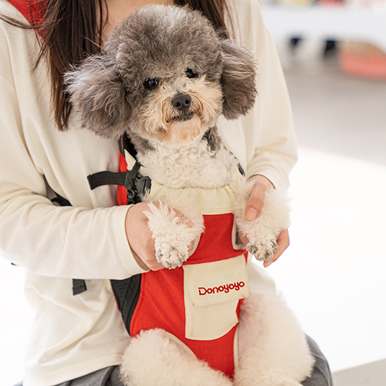 Comfort Pet Backpack Carrier for Outdoor Adventures