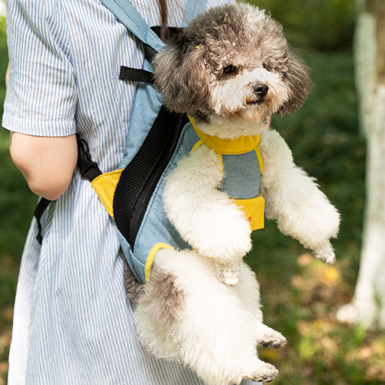 Comfort Pet Backpack Carrier for Outdoor Adventures