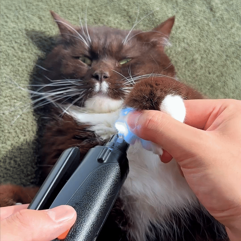 PawCare Multi-Function Pet Nail Trimmer