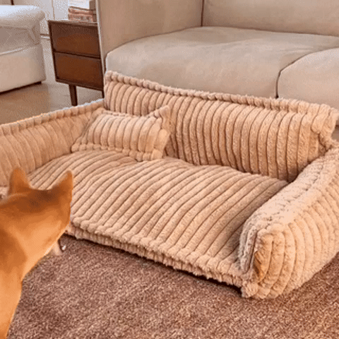 Washable Huggy-Cuddle Spine-Relief Orthopedic Dog Sofa