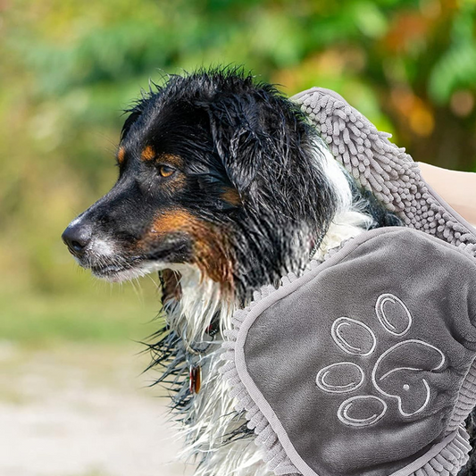 DryPaws Pet Towel – Coral Fleece Comfort & Strong Absorption
